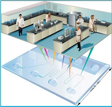 PDMS/PMMA/GLASS 微流控分析芯片实验室