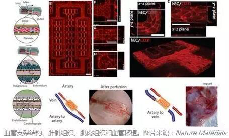 QQ截图20160617110413.jpg