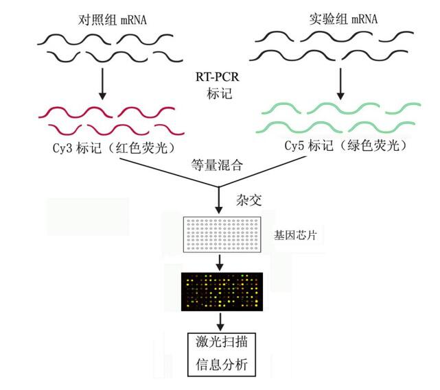 QQ截图20160829143534.jpg