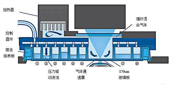 芯片实验室