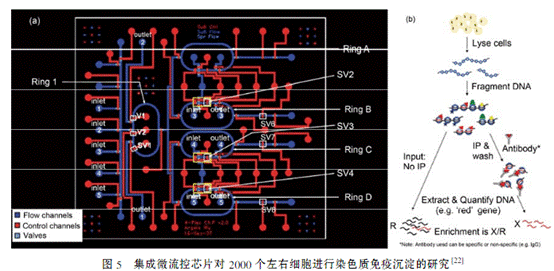 QQ截图20170122092649.png