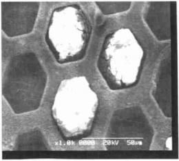 残留有 SU- 8 的DNA芯片模具的电镜照片 Fig. 1 SEM picture of DNA mold with SU- 8.