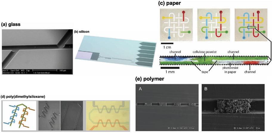玻璃、PDMS、纸、硅、PMMA材质芯片示范图对比