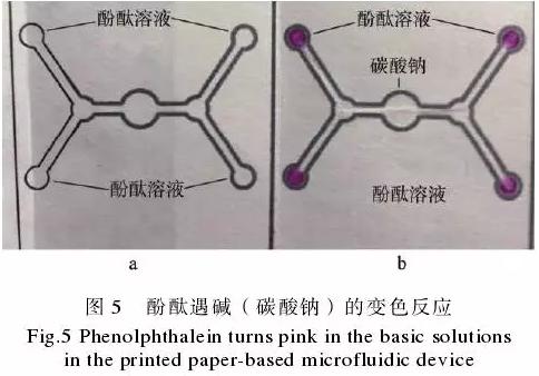 为了验证纸包装与纸基微流控芯片的整合技术，在纸盒的4个体板上分别制作了4个微流控芯片，该纸基芯片在pH值检测中的应用示例见图5。