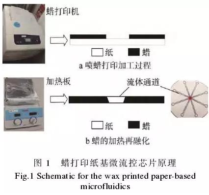 使用蜡打印加工纸基微流控芯片的方法，其基本原理见图1。