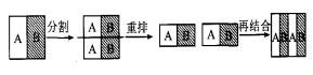 图 2 　静态微混合器的混合原则