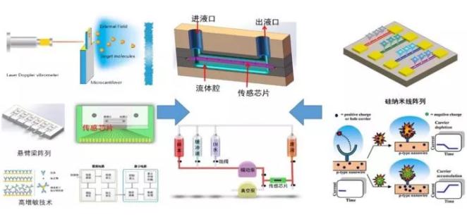 微纳机械结构生化传感器
