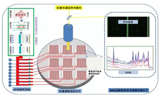 高增敏金属纳米结构材料与聚集体生化传感器研究