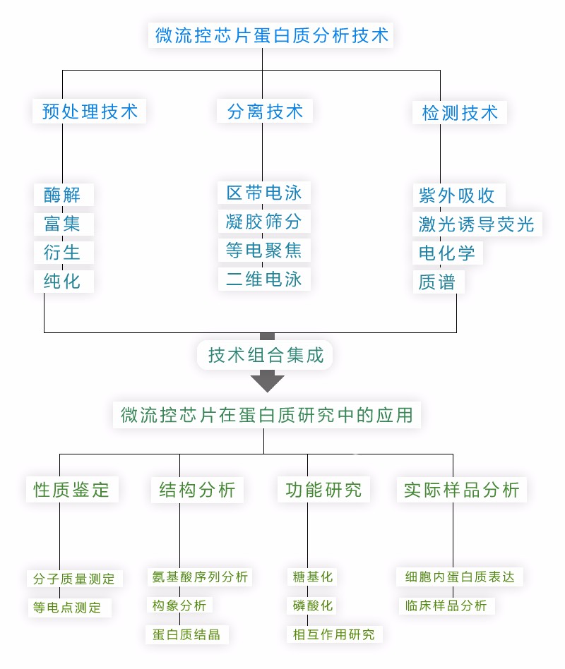 微流控芯片蛋白分析技术 微流控芯片蛋白分析技术