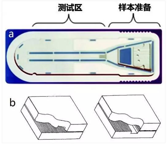 图3 Biosite微流体测试卡结构