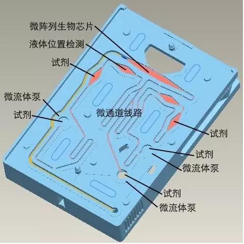图3 理邦m16微流控测试卡结构