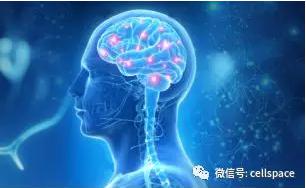 从实际应用出发，让标志物助力精准诊断