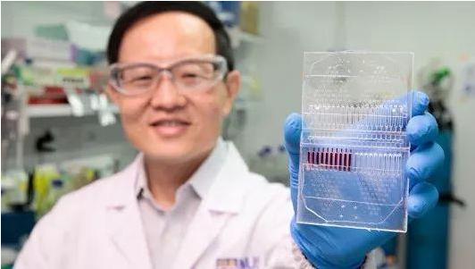科学家开发新型CTC培养检测试剂盒，进行个体化、精确的癌症治疗