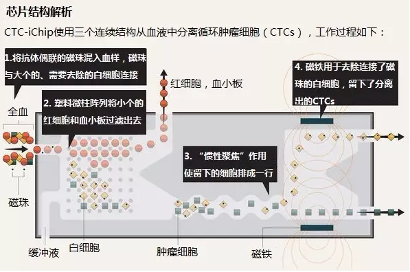 芯片结构解析