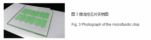 微流控芯片实物图