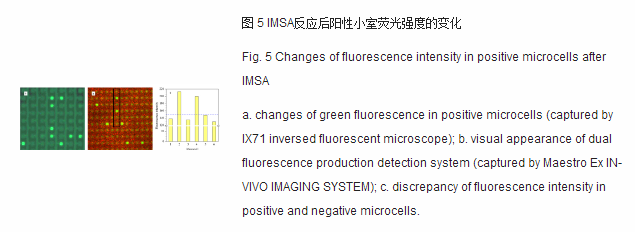 imsa反应后阳性下室荧光强度的变化