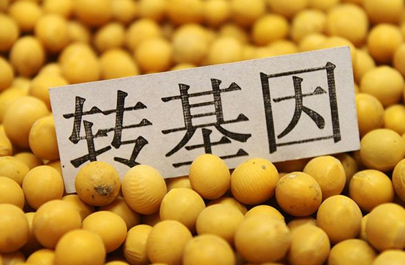转基因食品图