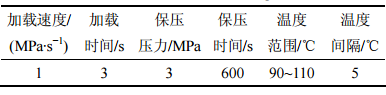 表1 单轴压缩实验条件
