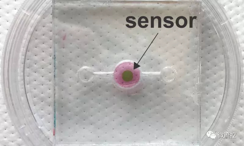 生物传感器