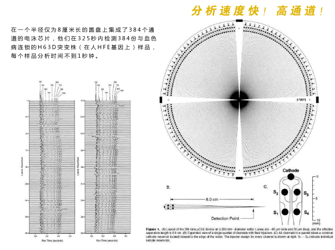 微流控芯片实验室分析检测速度快，具有高通道等特性。