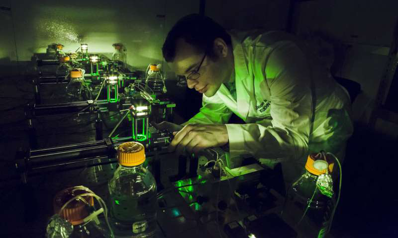 物理学研究生Jason Merritt在伊利诺伊州厄巴纳的Loomis物理实验室Kuehn实验室研究他的自动化细菌种群取样装置。来自伊利诺伊大学厄巴纳 - 香槟分校的L. Brian Stauffer