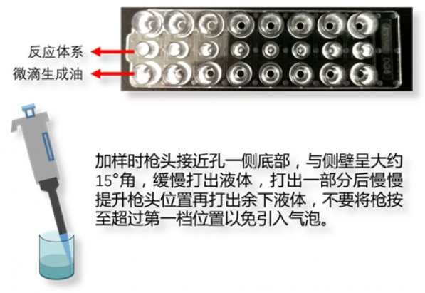 加样