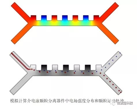  介电泳