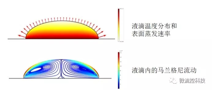 马兰格尼效应