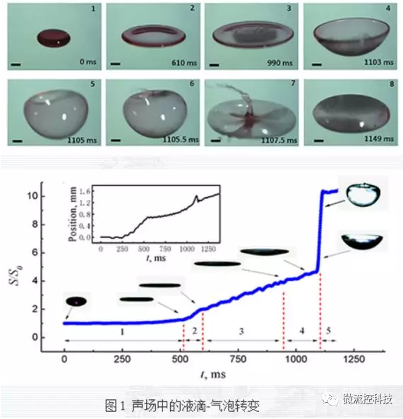 声场中的液滴-气泡转变