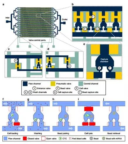 抓得着+单细胞分析：Hydro-Seq