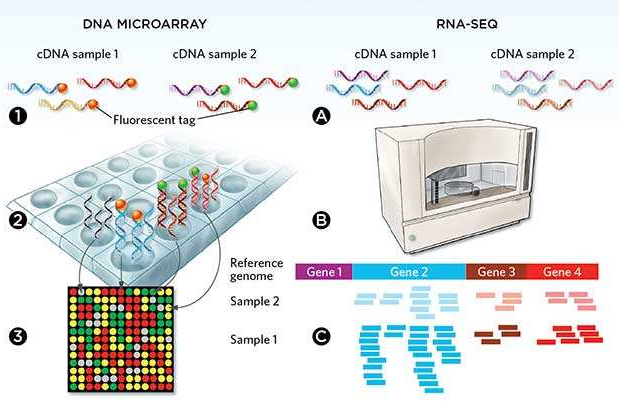 微流控自动化技术革新RNA-Seq文库构建流程 --- FLUIDIGM发布更高效、更节约成本的Advanta RNA-Seq NGS 文库构建解决方案