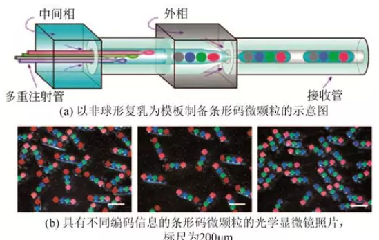 非球形复乳模板法制备非球形微颗粒