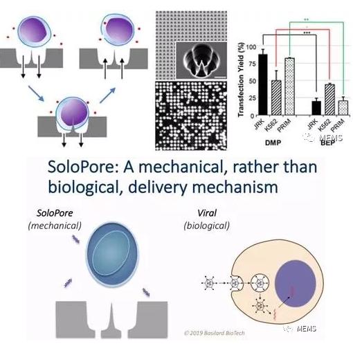 Basilard BioTech的SoloPore技术与病毒传递相比