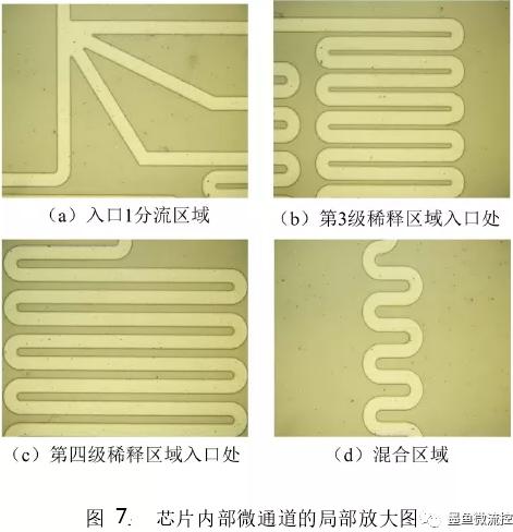 PDMS芯片内部通道局部放大图
