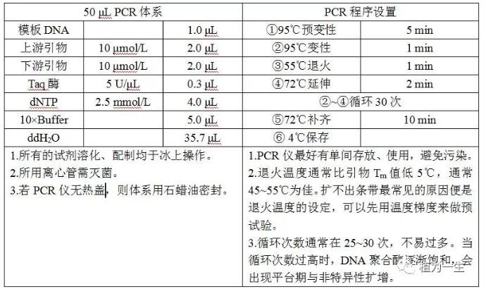 聚合酶链式反应的体系