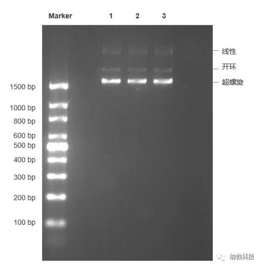 硅羟基磁珠