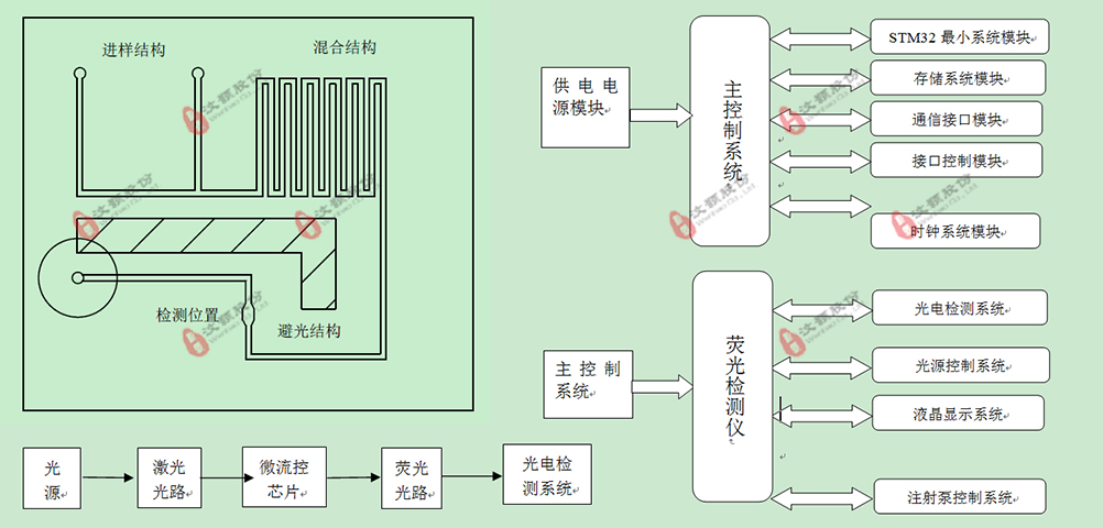 基于微流控芯片的海洋藻类在线检测系统