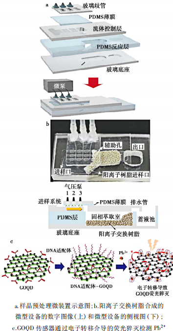 微流控应用.jpg