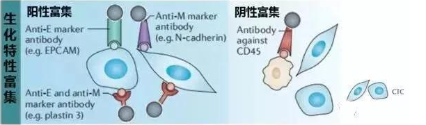 微信截图_20230310095219.png