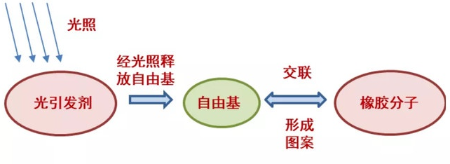 图片11.png