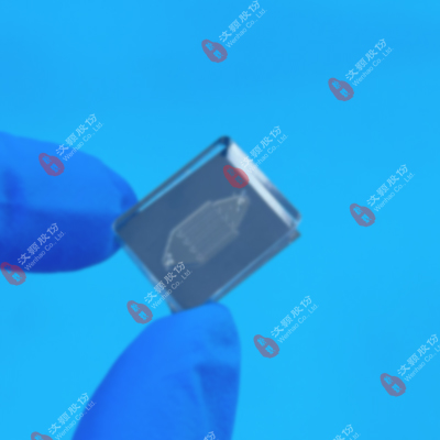 20240919PDMS+硅片-徐红梅.jpg